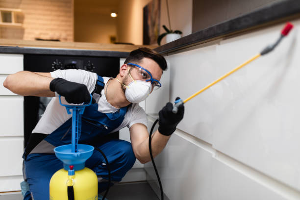 Best Ant Control Services  in Ham Lake, MN