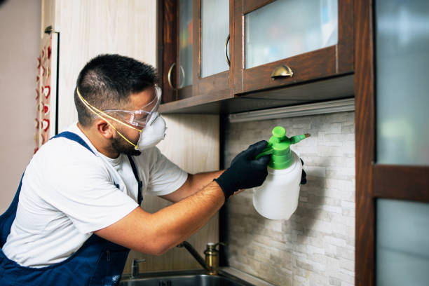 Best Local Pest Control Services  in Ham Lake, MN
