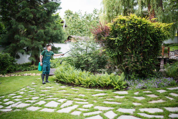 Best Cockroach Control Services  in Ham Lake, MN