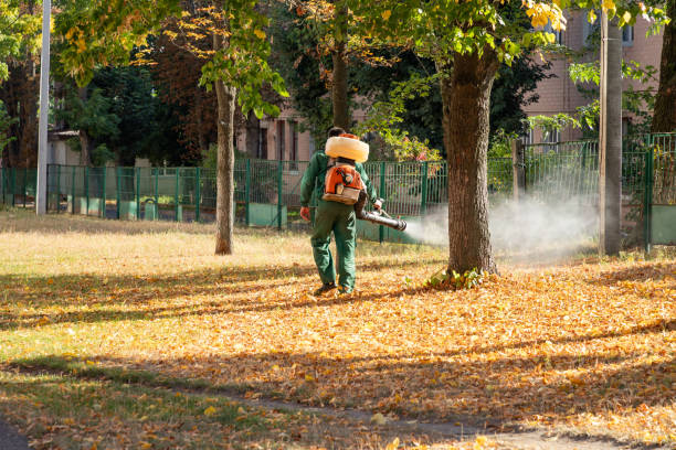 Best Insect Control  in Ham Lake, MN