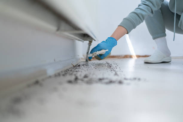 Best Best Pest Control Companies  in Ham Lake, MN
